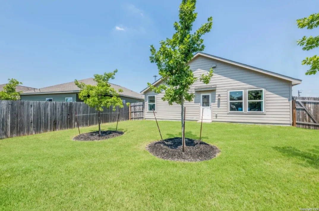 Texas Bug Killers Pest & Lawn Service in San Antonio, TX — business photo 6
