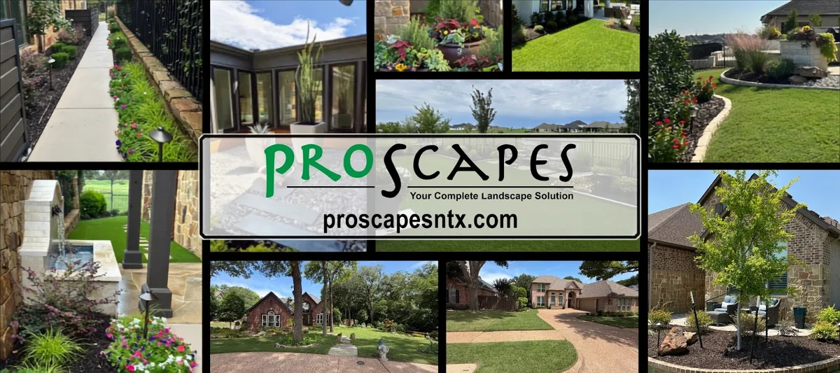 Proscapes Lawn & Tree Care — pest control in Keller, TARRANT County, TX