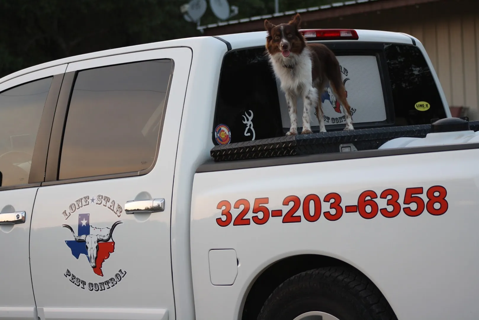 Lone Star Pest Control — pest control in Brownwood, BROWN County, TX