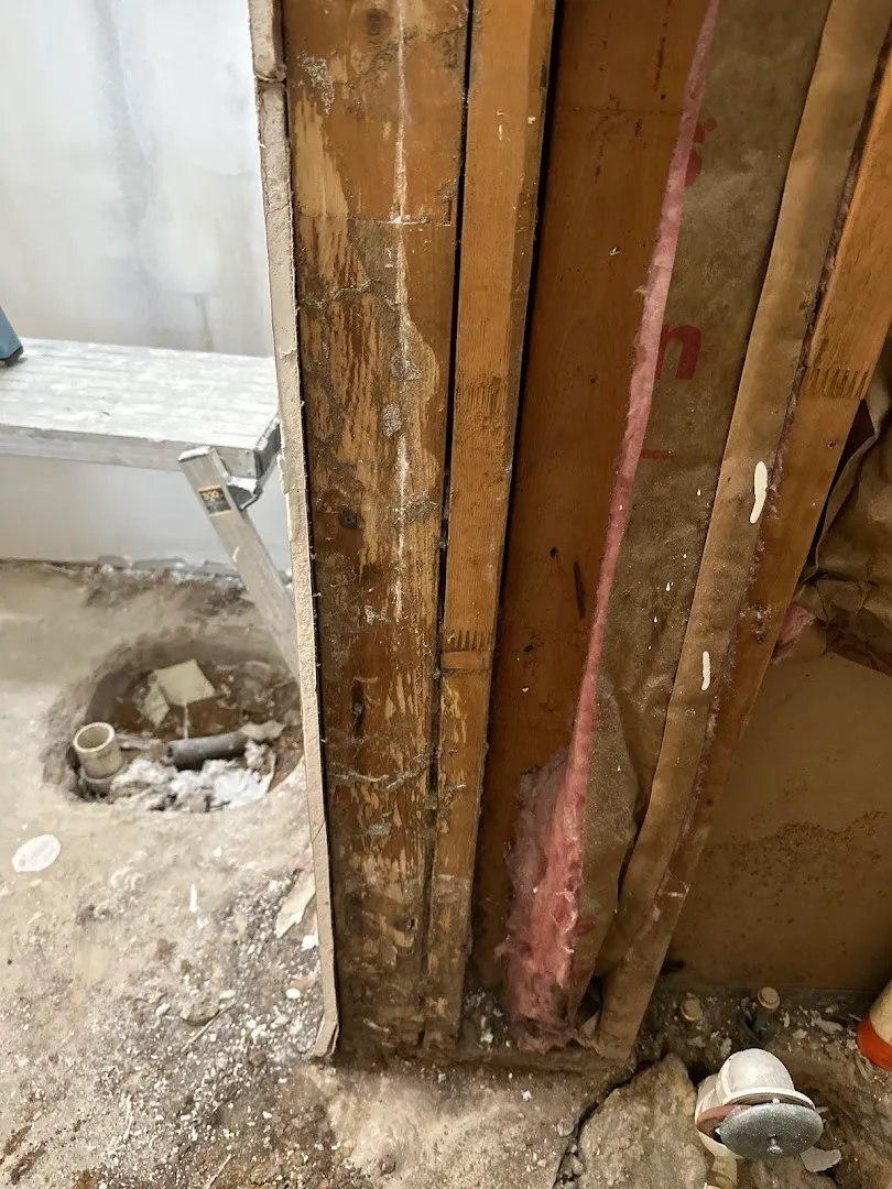 Next Level Pest Services — pest control in Denton, DENTON County, TX