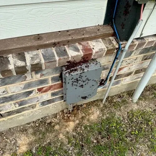 Next Level Pest Services in Denton, TX — business photo 4