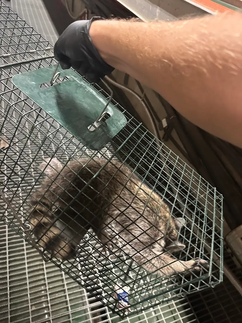 Next Level Pest Services in Denton, TX — business photo 6