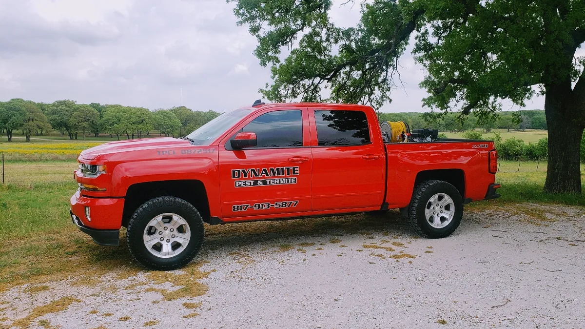Dynamite Pest & Termite — pest control in Boyd, WISE County, TX