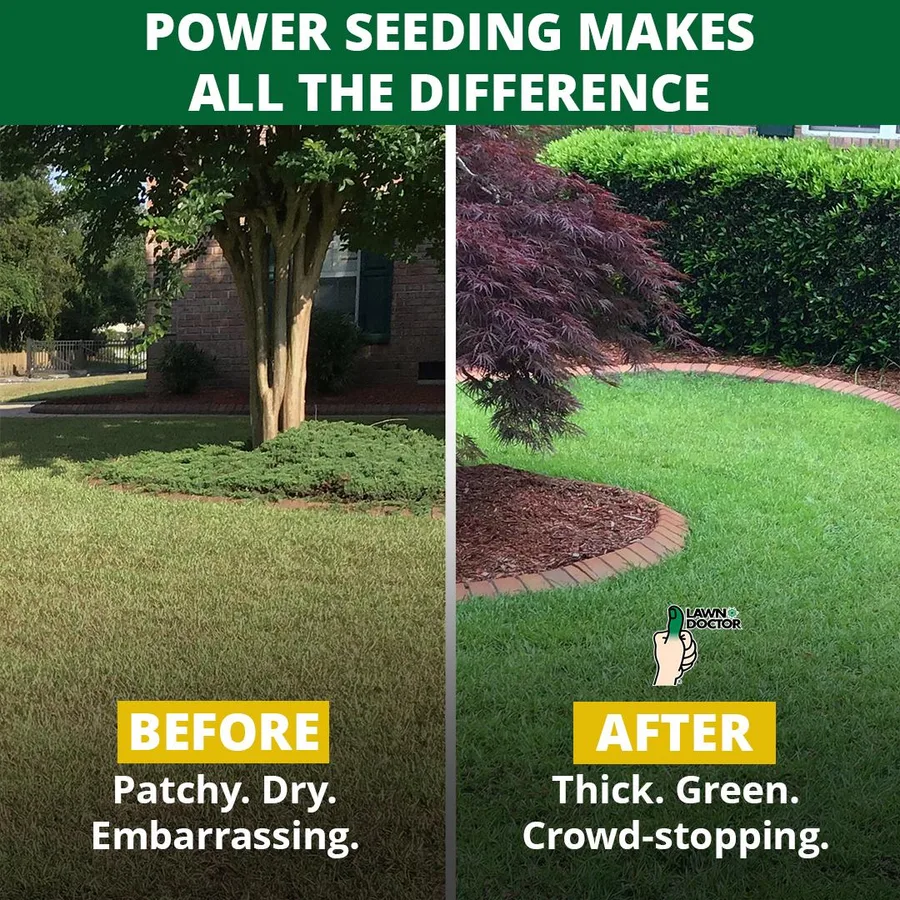 Lawn Doctor of Denton in Denton, TX — business photo 3