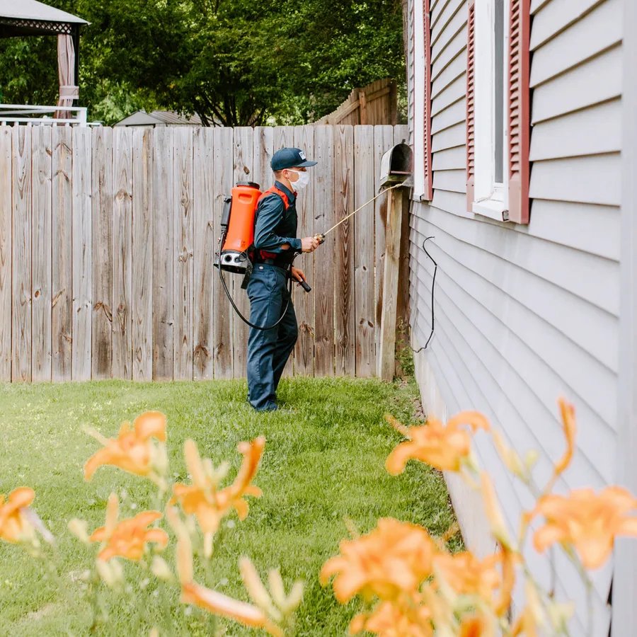 Fox Pest Control Lubbock — pest control in Lubbock, LUBBOCK County, TX