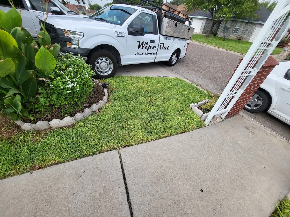 Wipe-Out Pest Control LLC in Edinburg, TX — business photo 4
