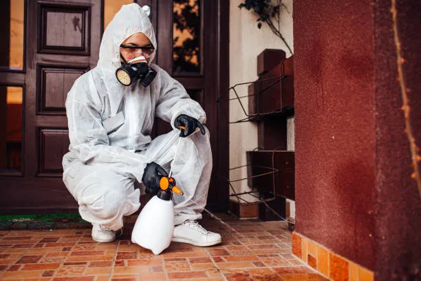 Wipe-Out Pest Control LLC in Edinburg, TX — business photo 5