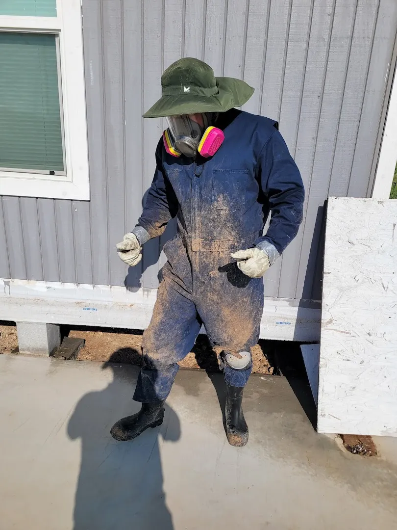 Simple Pest & Termite Solutions — pest control in Edinburg, HIDALGO County, TX