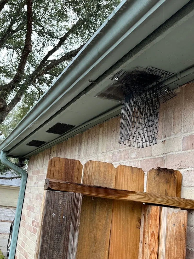 Workman's Pest Control in Conroe, TX — business photo 5