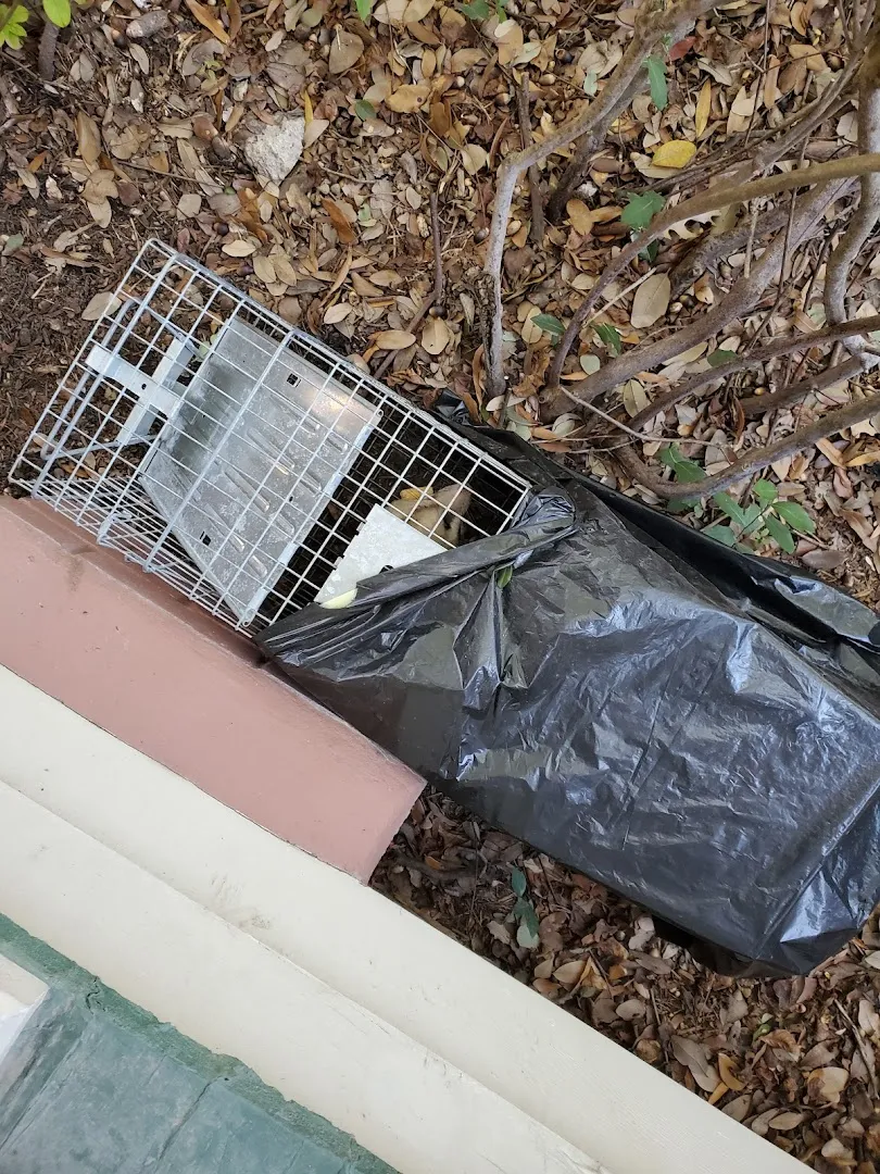 Workman's Pest Control in Conroe, TX — business photo 6