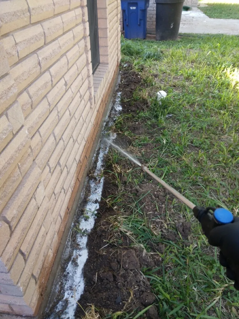 Bug Pro Solutions — pest control in Edinburg, HIDALGO County, TX