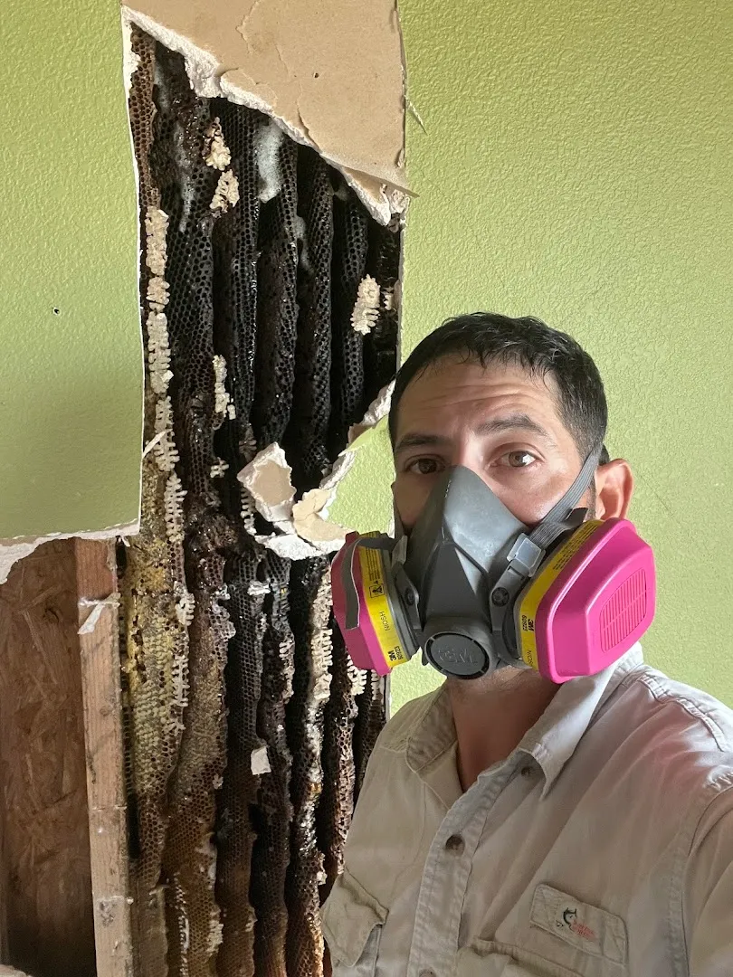 Mites Pest Control in Belton, TX — business photo 4