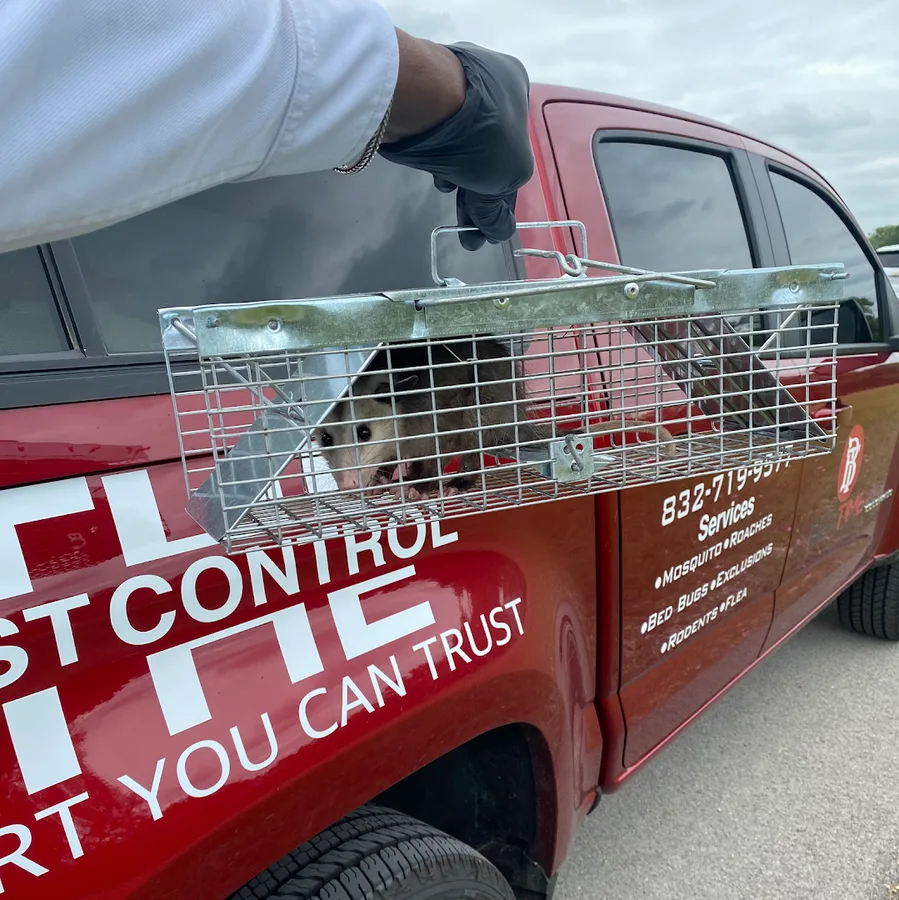 Bedtime Pest Control in Houston, TX — business photo 2