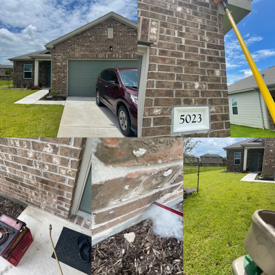 Hawx Pest Control in Houston, TX — business photo 2