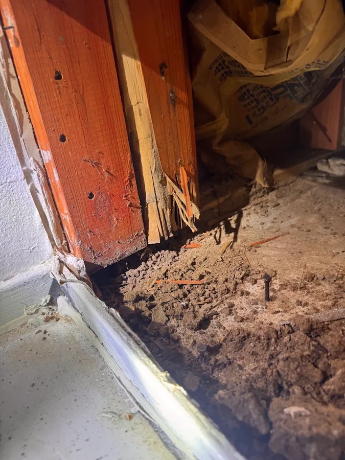 Web Termite & Pest Control, LLC in Laredo, TX — business photo 6
