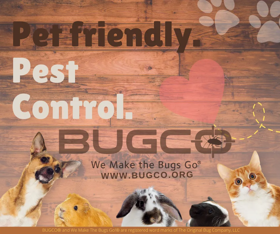 BUGCO Pest Control in Dallas, TX — business photo 5
