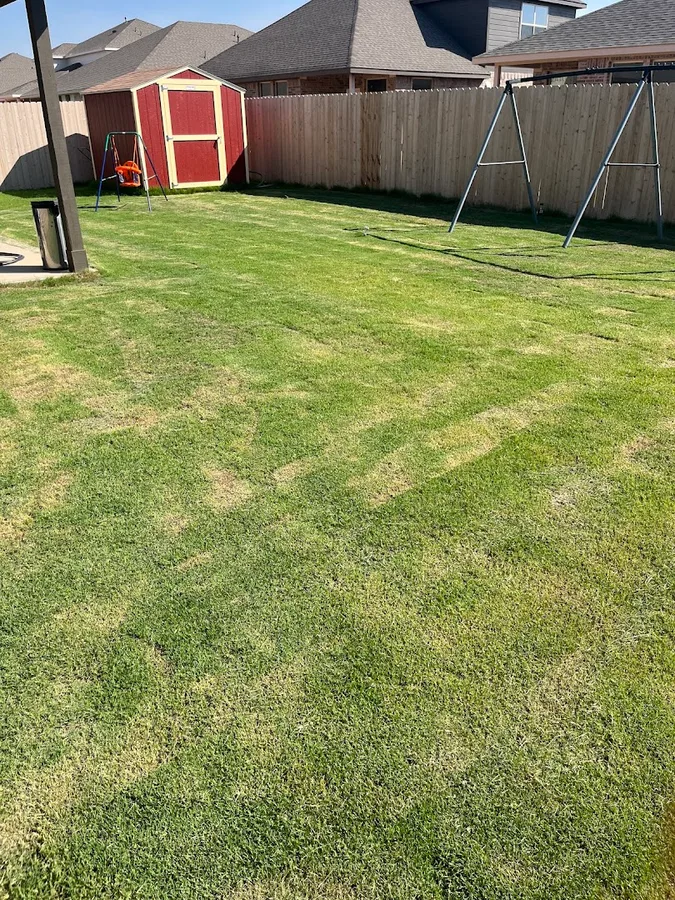 CEOS Pest Control Services — pest control in Midland, MIDLAND County, TX