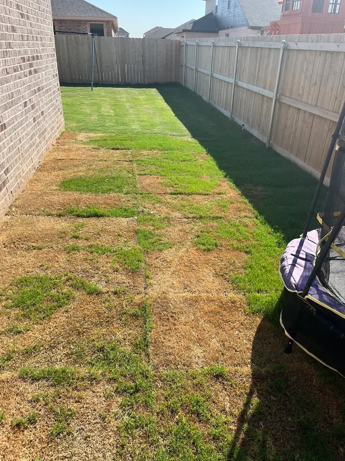 CEOS Pest Control Services in Midland, TX — business photo 5