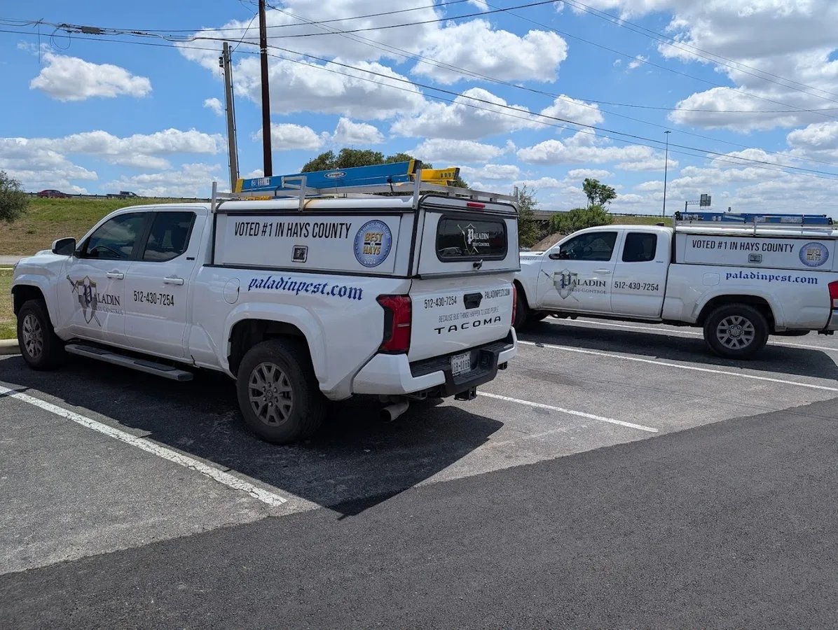 Paladin Pest Control in San Marcos, TX — business photo 2