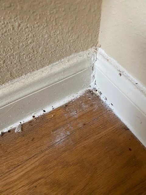 Guardian Mosquito & Pest Control — pest control in Montgomery, MONTGOMERY County, TX