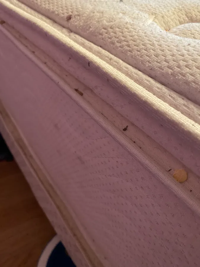 Guardian Mosquito & Pest Control in Montgomery, TX — business photo 3