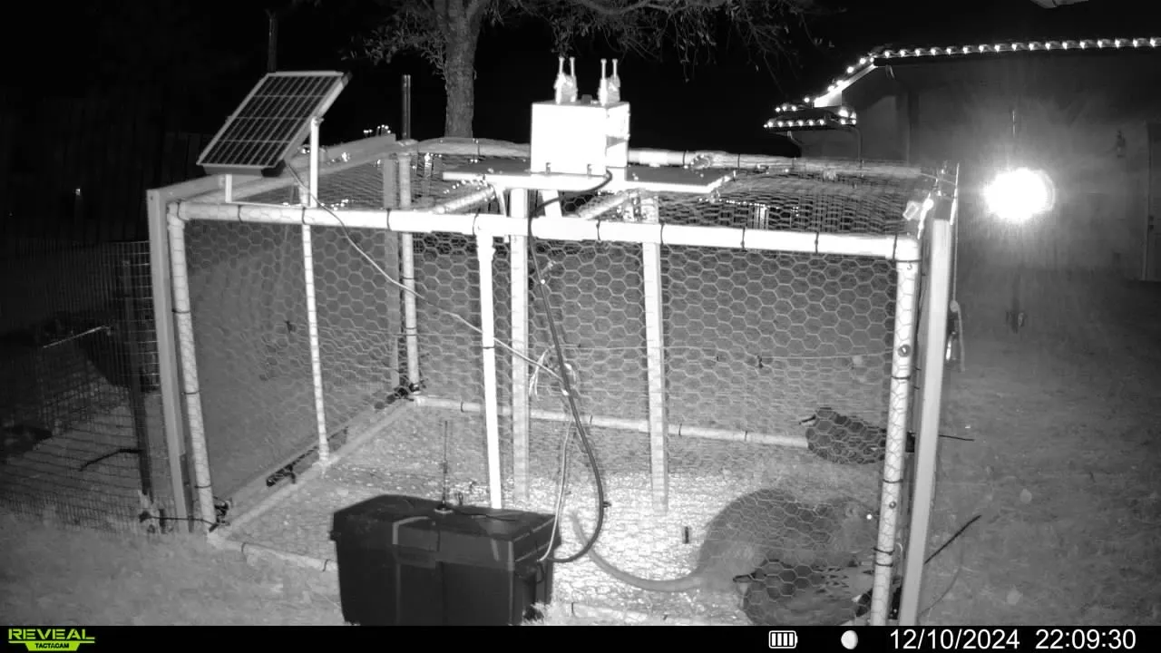 Caraway Pest Control — pest control in Houston, HARRIS County, TX