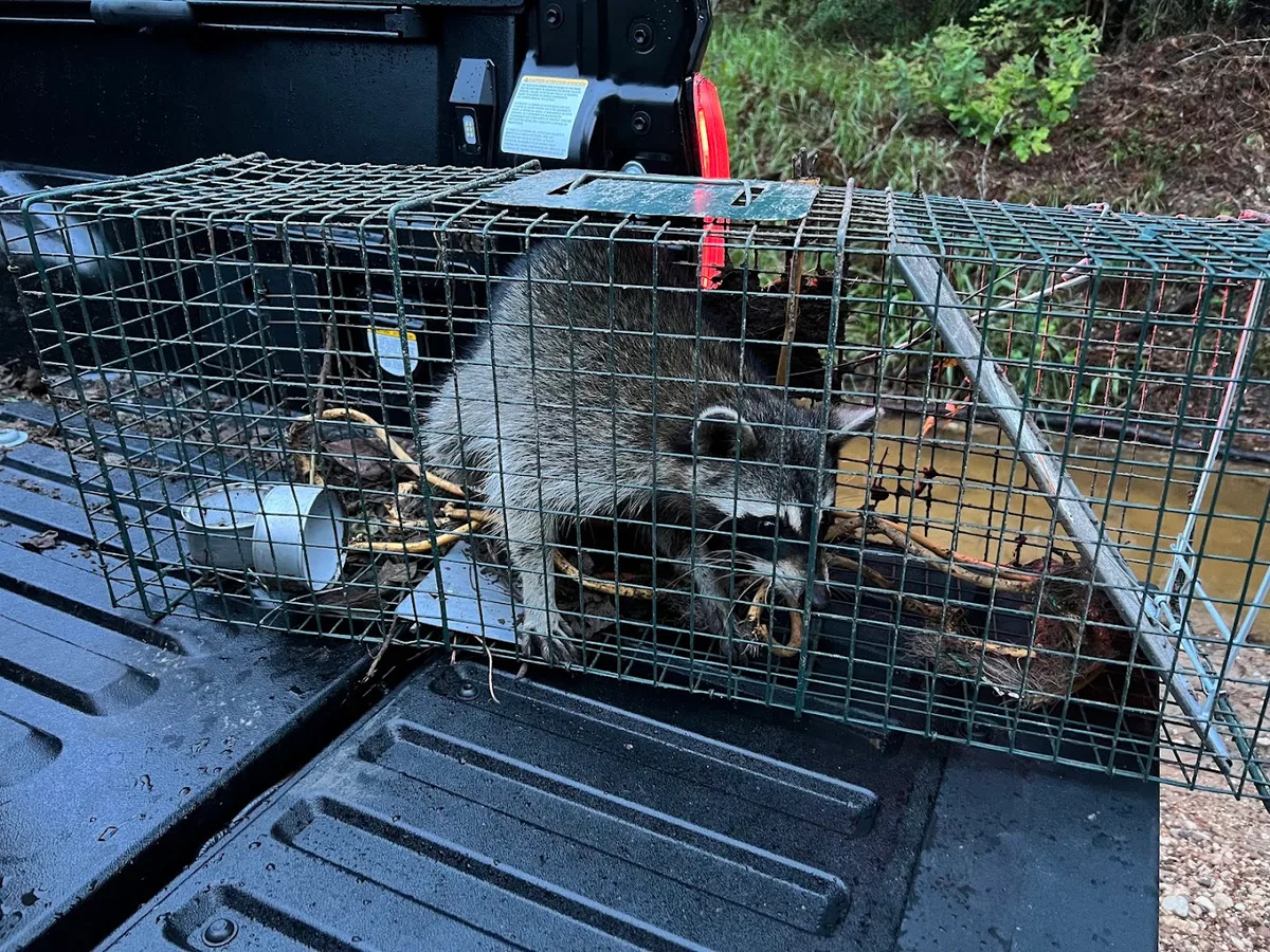 Diamond R Pest Management in Cleveland, TX — business photo 2