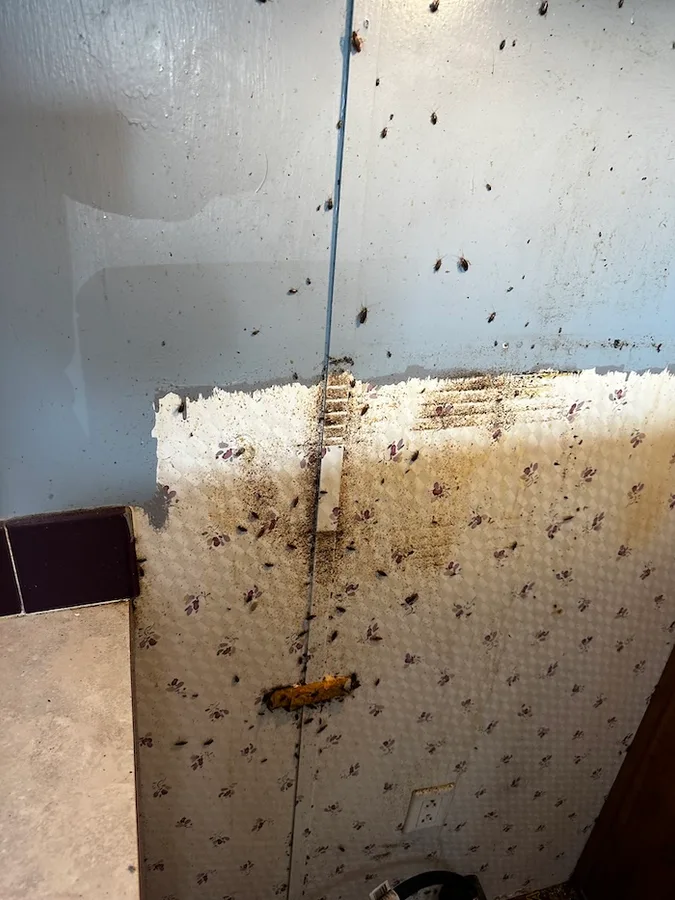 Preston Pest Service LLC in Venus, TX — business photo 4