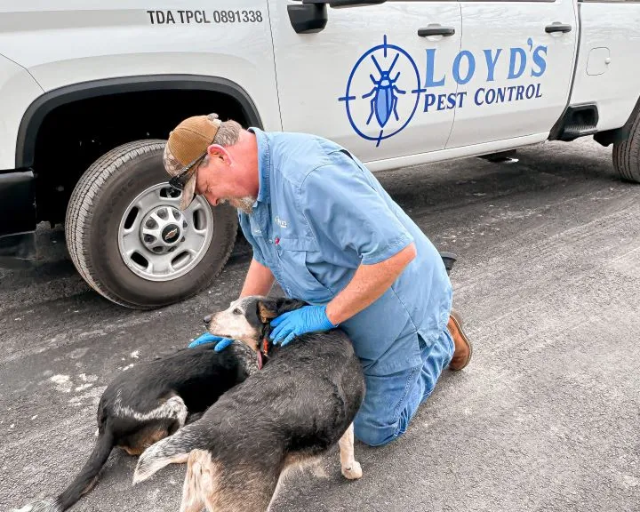 Loyd's Pest Control — pest control in Anderson, GRIMES County, TX