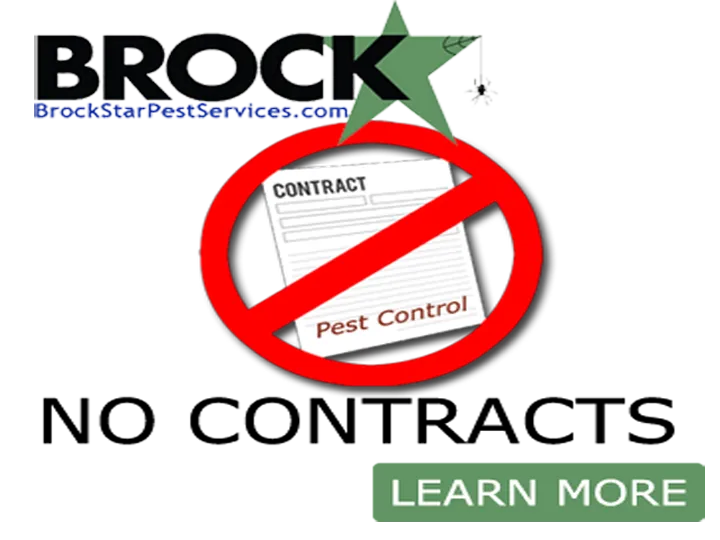 BrockStar Pest Services in San Marcos, TX — business photo 5