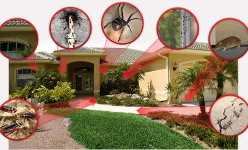 Freedom Termite & Pest Control, Inc in Houston, TX — business photo 4