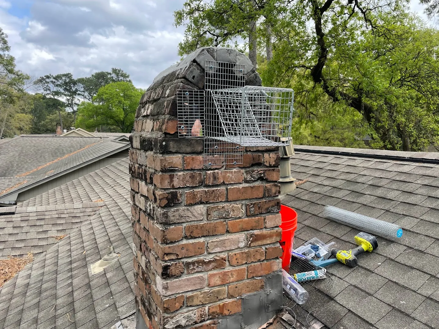Bayou City Wildlife Removal in Houston, TX — business photo 5