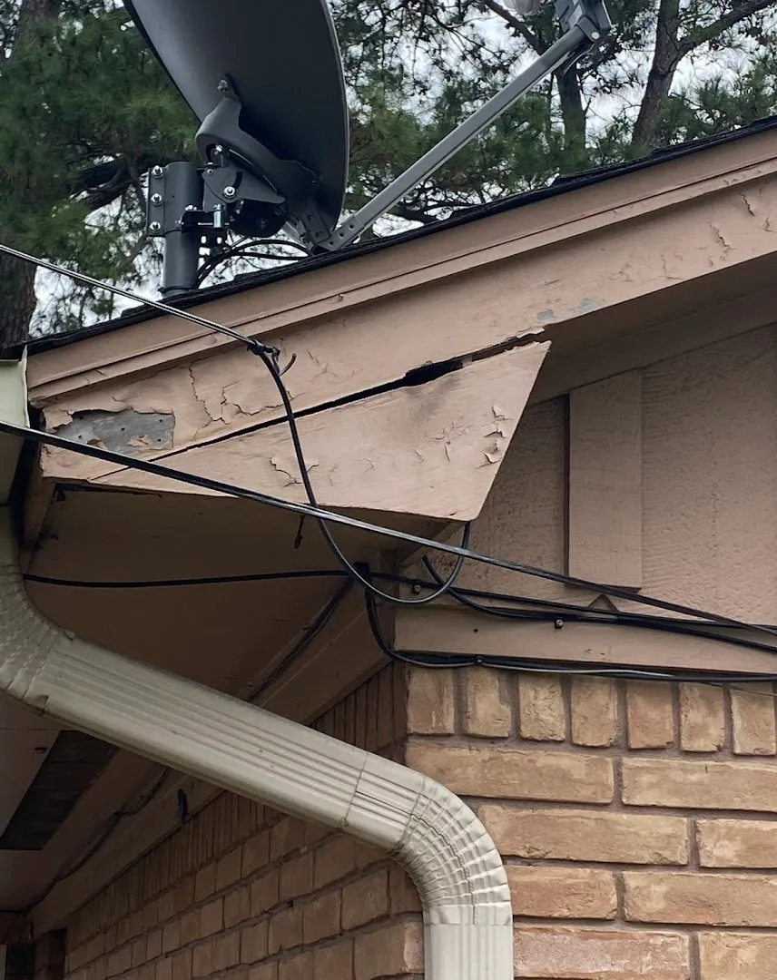 Bayou City Wildlife Removal in Houston, TX — business photo 6