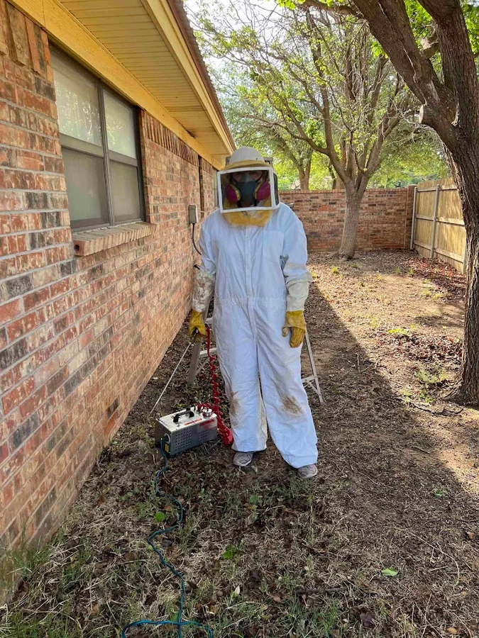 Bug Lady Pest Control — pest control in Midland, MIDLAND County, TX
