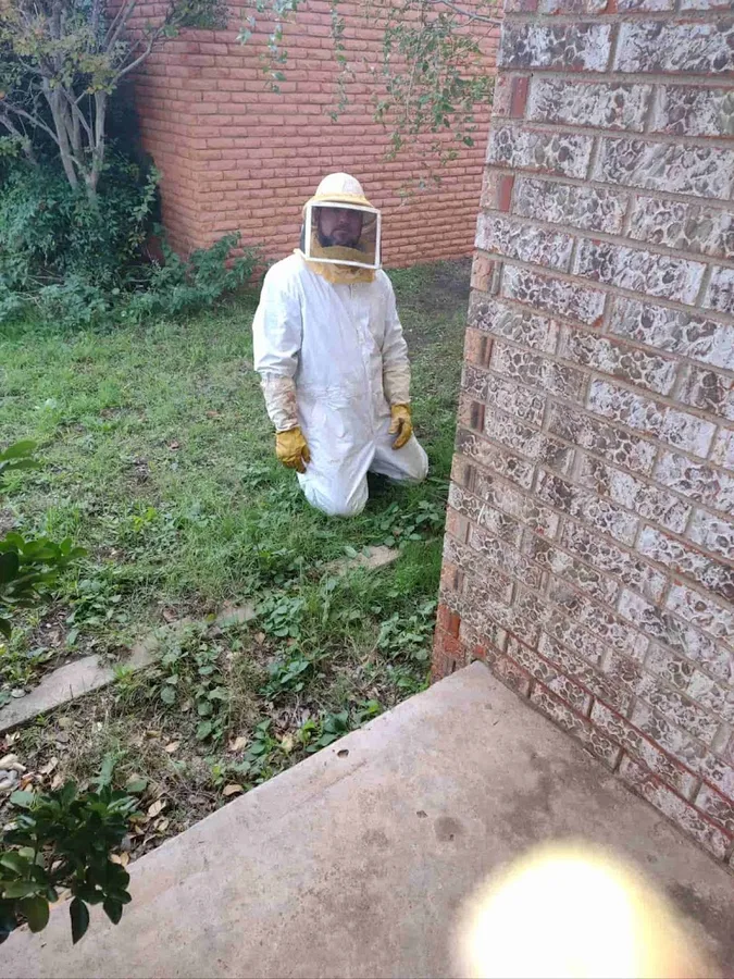 Bug Lady Pest Control in Midland, TX — business photo 3