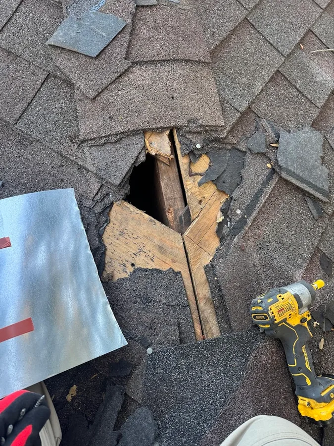 Bridge Branch Services — pest control in Houston, HARRIS County, TX