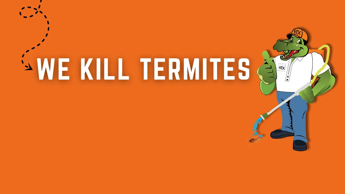 theXTermiGator, LLC | TERMITE INSPECTIONS & TREATMENTS in Wake Village, TX — business photo 4
