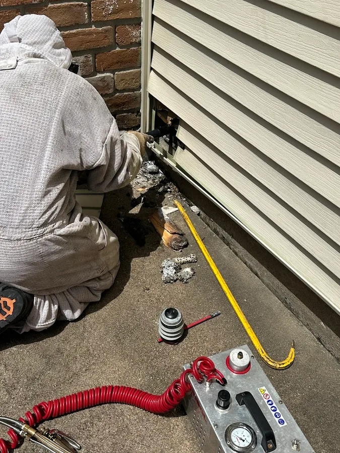 Aspire Pest Solutions — pest control in Houston, HARRIS County, TX