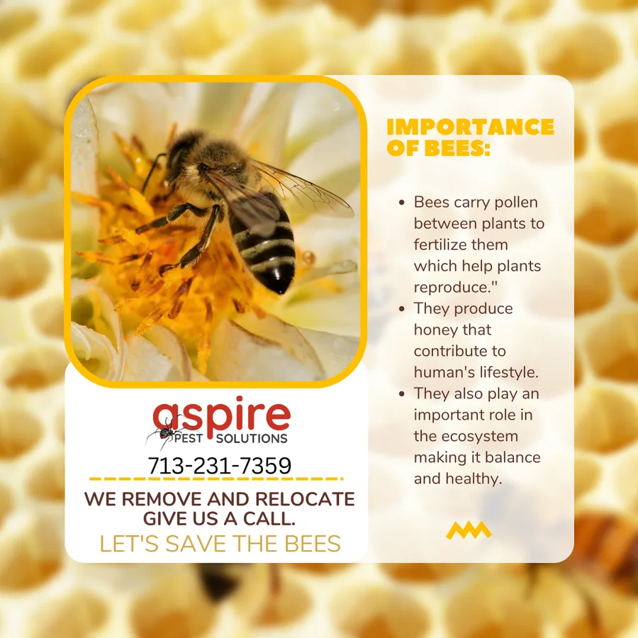 Aspire Pest Solutions in Houston, TX — business photo 4