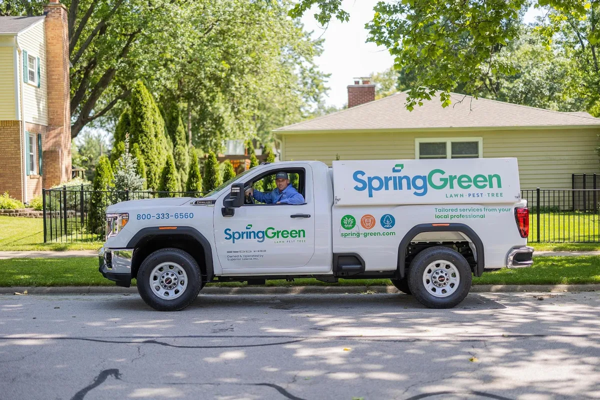 Spring Green in McKinney, TX — business photo 2