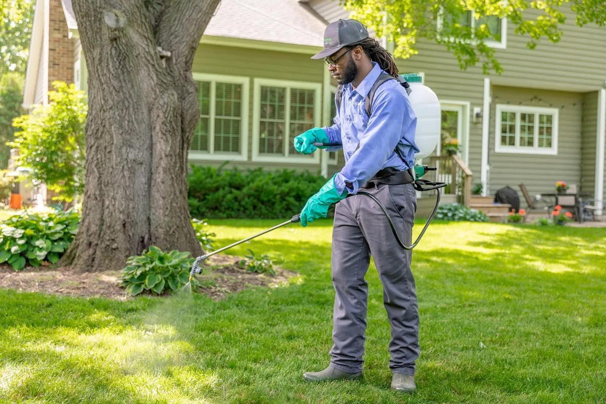 Spring Green in McKinney, TX — business photo 3