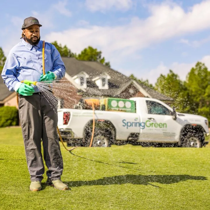 Spring Green in McKinney, TX — business photo 4