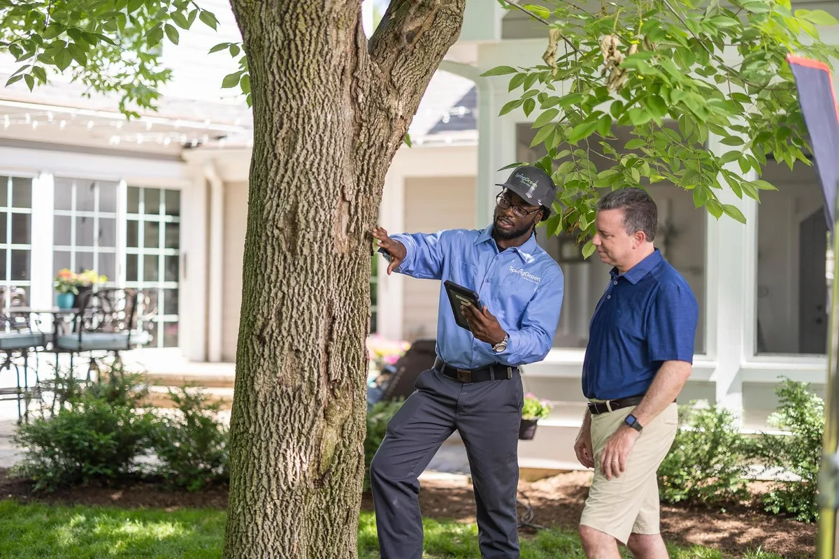 Spring Green in McKinney, TX — business photo 6