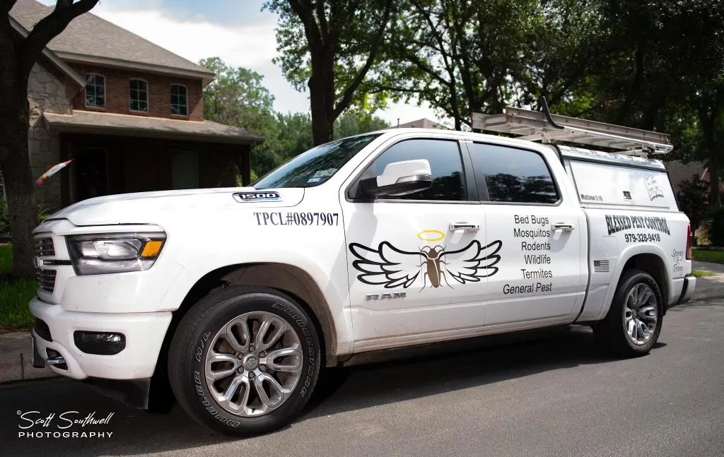 Blessed Pest Control — pest control in Boerne, BEXAR County, TX