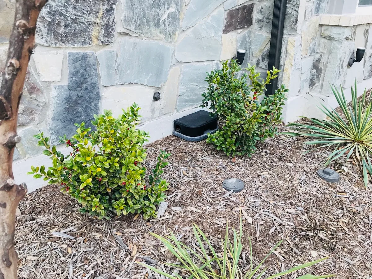 Romex Rodent Control in McKinney, TX — business photo 5