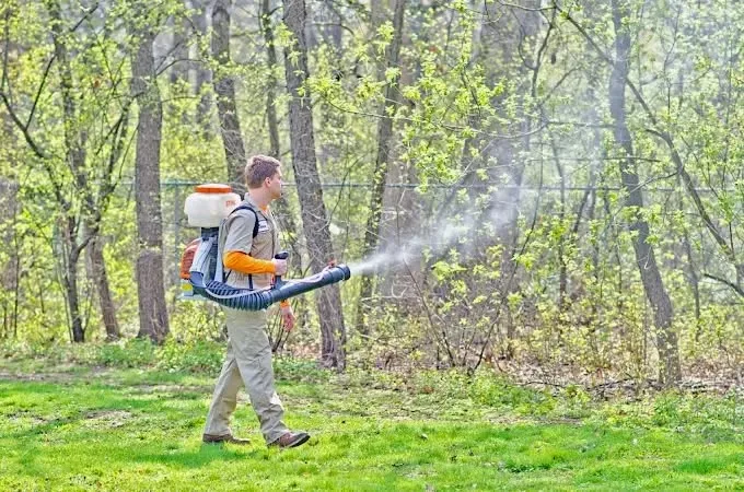 Mosquito Hunters of Lewisville-Flower Mound-Argyle in Denton, TX — business photo 5