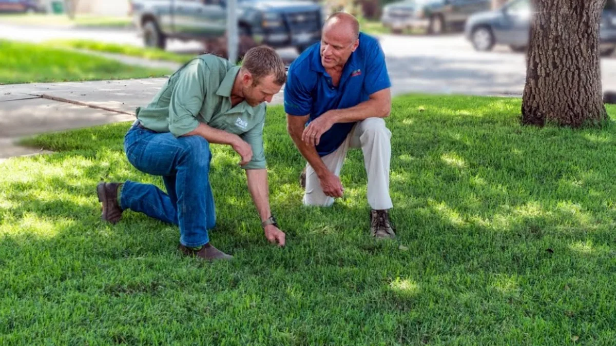 Emerald Lawns - New Braunfels Lawn Care — pest control in New Braunfels, COMAL County, TX