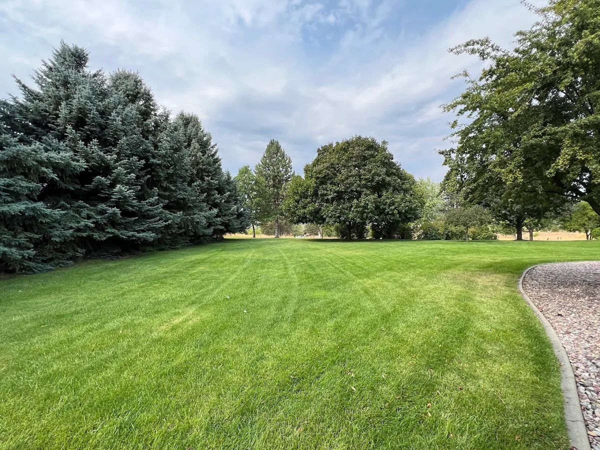 Emerald Lawns - New Braunfels Lawn Care in New Braunfels, TX — business photo 5
