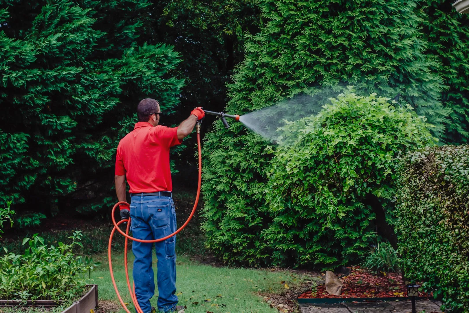 Pest Off Exterminators, LLC in Houston, TX — business photo 4