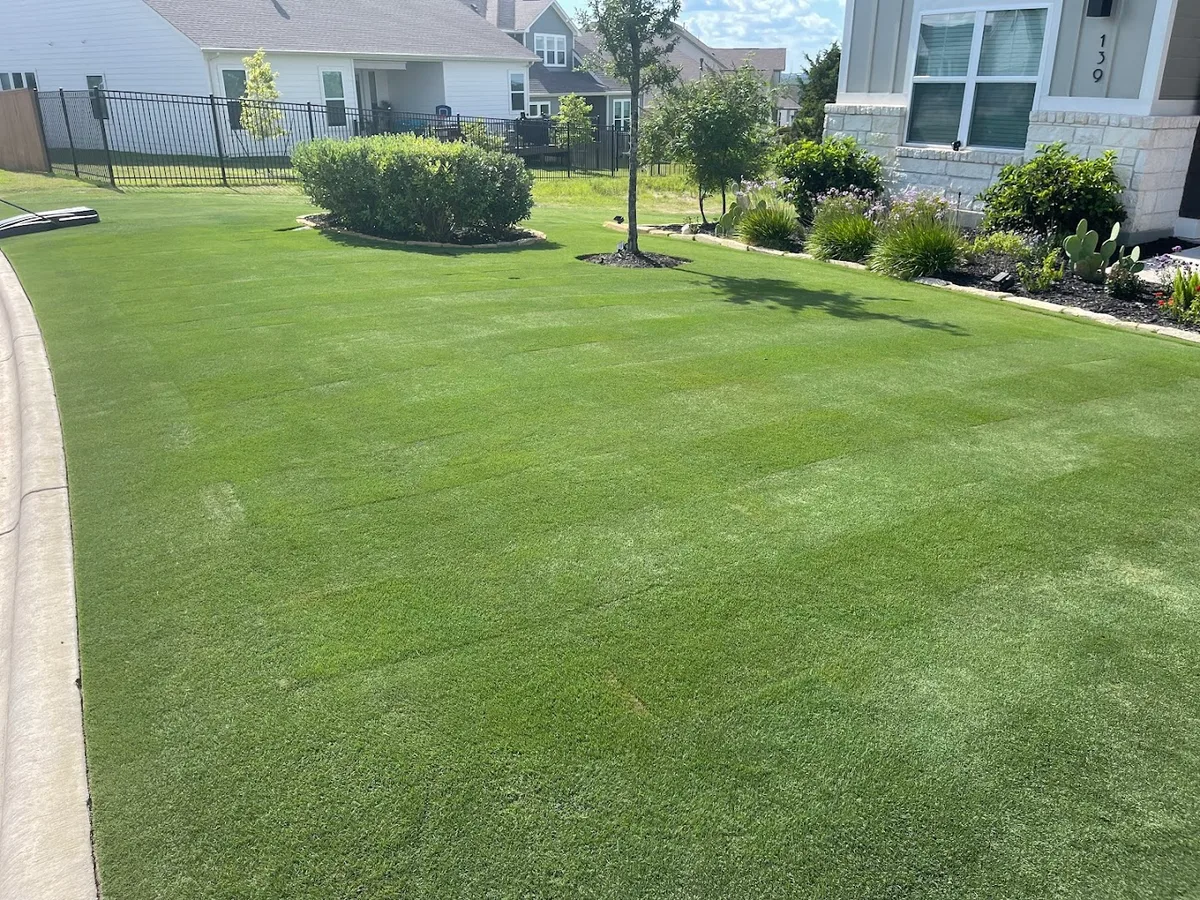 AlienWerks Pest Management in Dripping Springs, TX — business photo 2